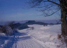 Winter - Bauernhof Beyer, Oberscheinfeld-Stierhöfstetten, Naturpark Steigerwald